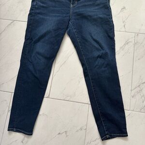American Eagle Outfitters Next Level Stretch Size 18Skinny Jeans